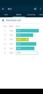 screenshot of running stats